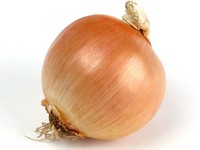 Купить Лук сеянка озимый Купидо F1 8/16 1 кг Голандия TOP в магазине ...